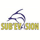 Subevasion
